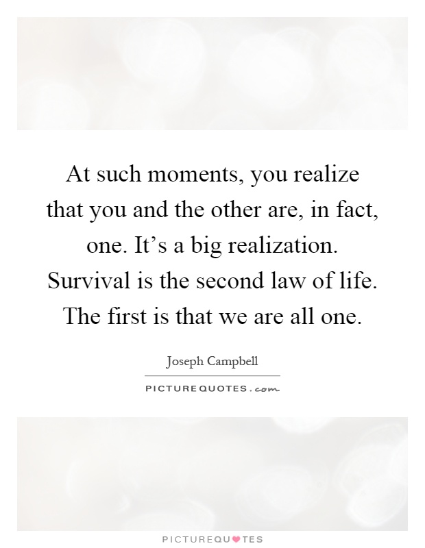 At such moments, you realize that you and the other are, in fact, one. It’s a big realization. Survival is the second law of life. The first is that we are all one Picture Quote #1