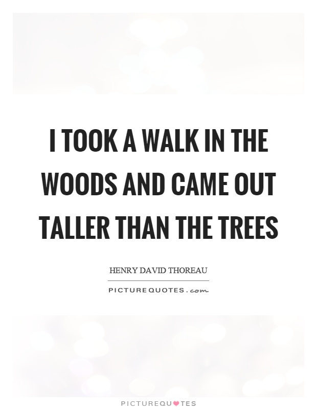 I took a walk in the woods and came out taller than the trees Picture Quote #1