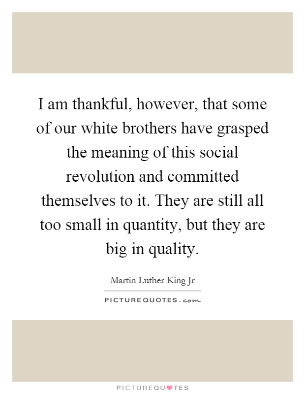 I am thankful, however, that some of our white brothers have grasped the meaning of this social revolution and committed themselves to it. They are still all too small in quantity, but they are big in quality Picture Quote #1