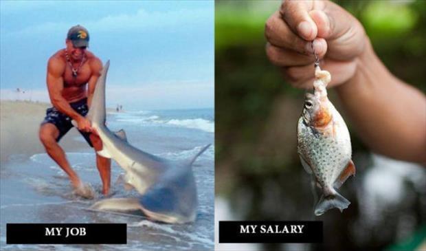 My job. My salary Picture Quote #1