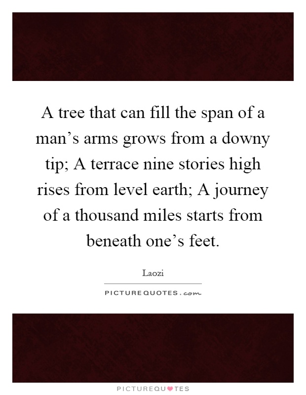 A tree that can fill the span of a man’s arms grows from a downy tip; A terrace nine stories high rises from level earth; A journey of a thousand miles starts from beneath one’s feet Picture Quote #1