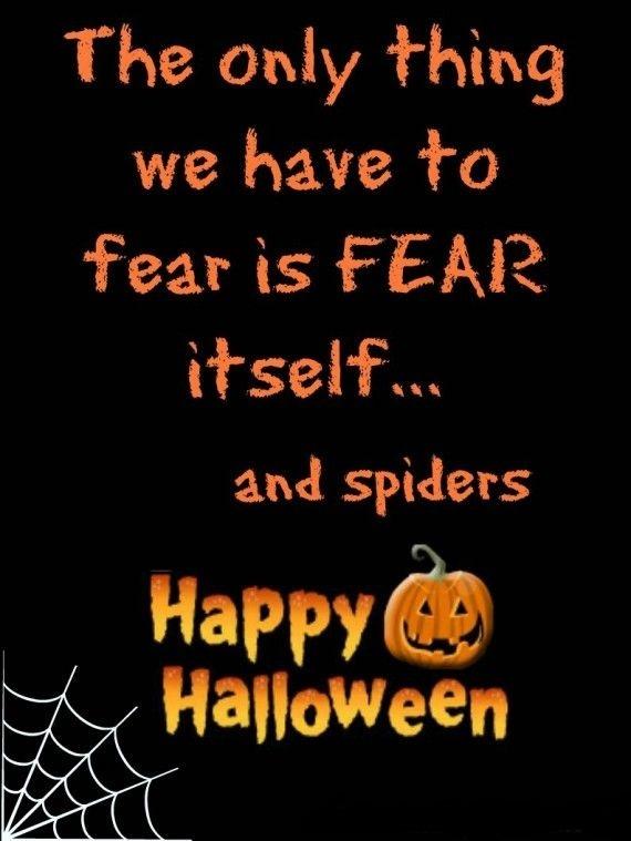 The only thing we have to fear is fear itself... and spiders.... | Picture  Quotes