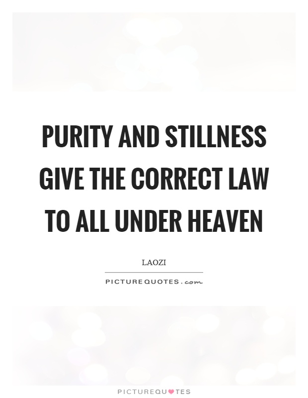 Purity and stillness give the correct law to all under heaven Picture Quote #1