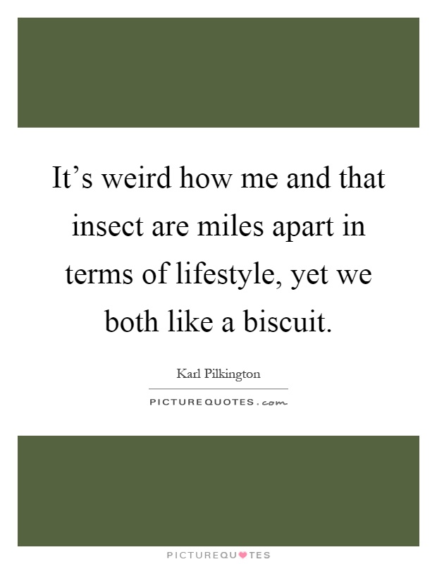It’s weird how me and that insect are miles apart in terms of lifestyle, yet we both like a biscuit Picture Quote #1