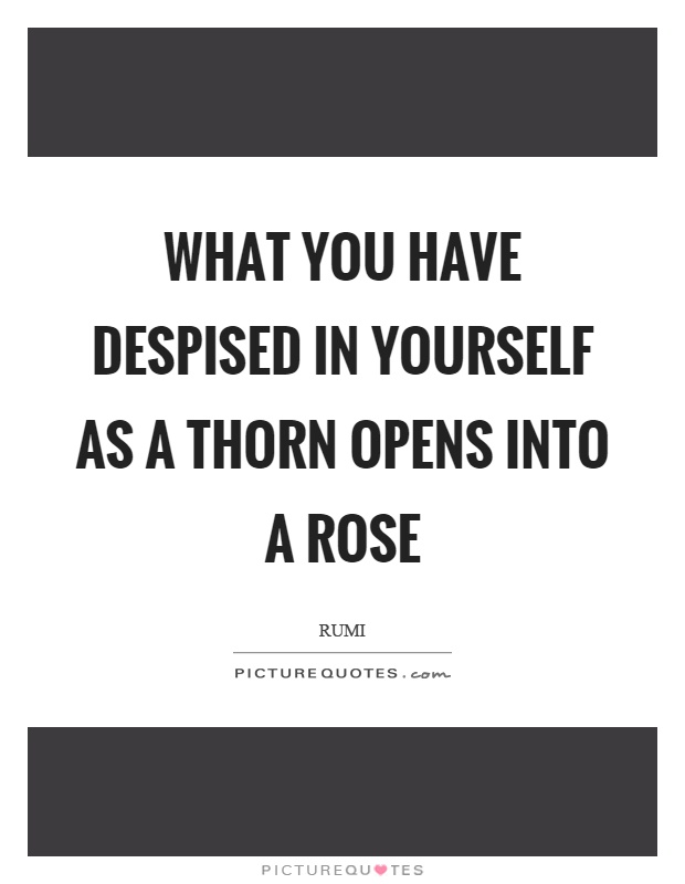 What you have despised in yourself as a thorn opens into a rose Picture Quote #1