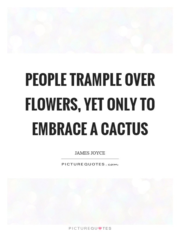 People trample over flowers, yet only to embrace a cactus Picture Quote #1