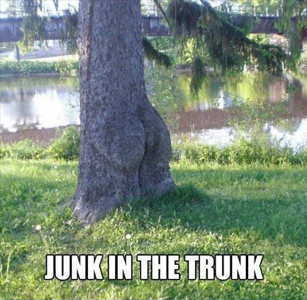 Junk in the trunk Picture Quote #1