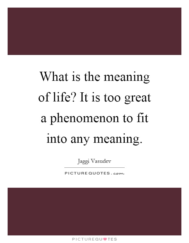 What is the meaning of life? It is too great a phenomenon to fit into any meaning Picture Quote #1