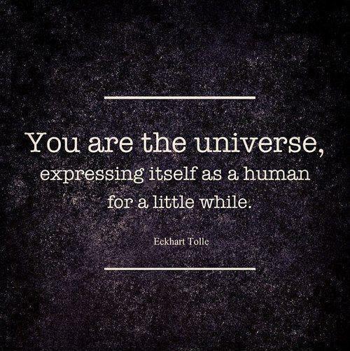 You are the Universe expressing itself as a human for a little while Picture Quote #1