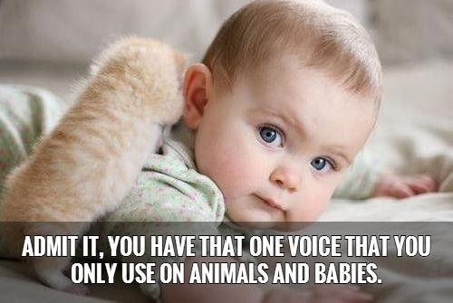 Admit it, you have that one voice that you only use on animals and babies Picture Quote #1