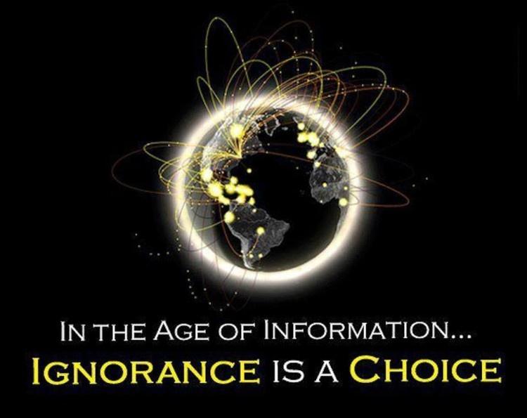 In the age of information ignorance is a choice Picture Quote #2