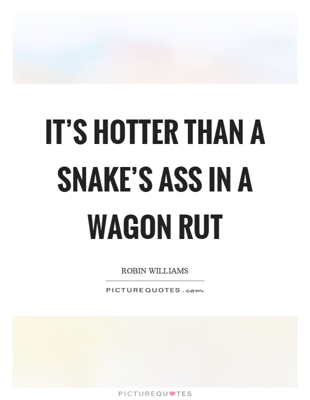 It’s hotter than a snake’s ass in a wagon rut Picture Quote #1