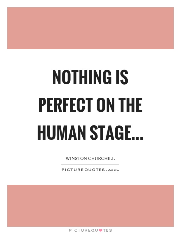 Nothing is perfect on the human stage Picture Quote #1
