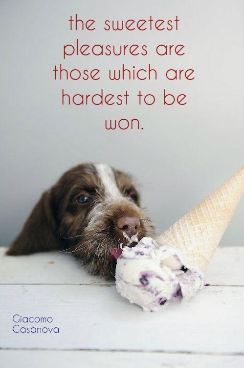 The sweetest pleasures are those which are hardest to be won Picture Quote #1