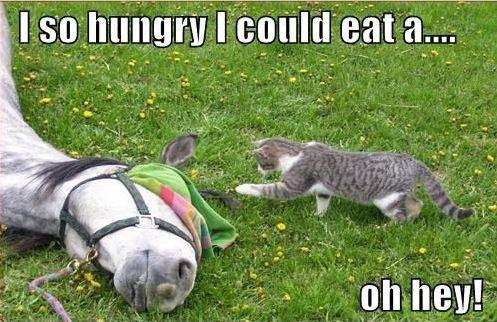 I'm so hungry I could eat a... oh hey! Picture Quote #1