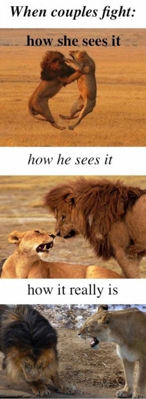 When couples fight. How she sees it. How he sees it. How it... | Picture  Quotes