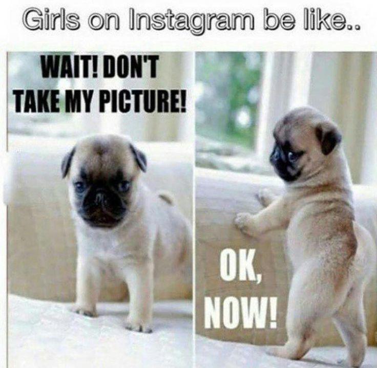 Girls on Instagram be like.. Wait! don't take my picture! Ok, now! Picture Quote #1