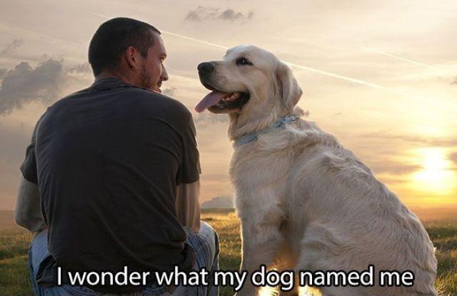 I wonder what my dog named me Picture Quote #1