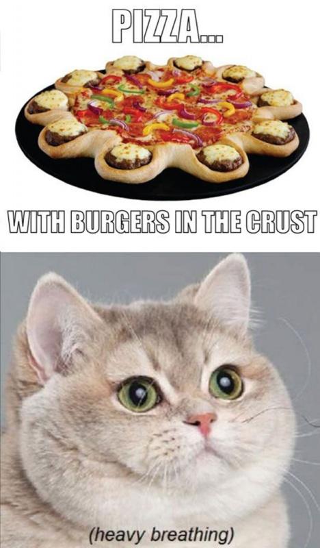 Pizza with burgers in the crust | Picture Quotes