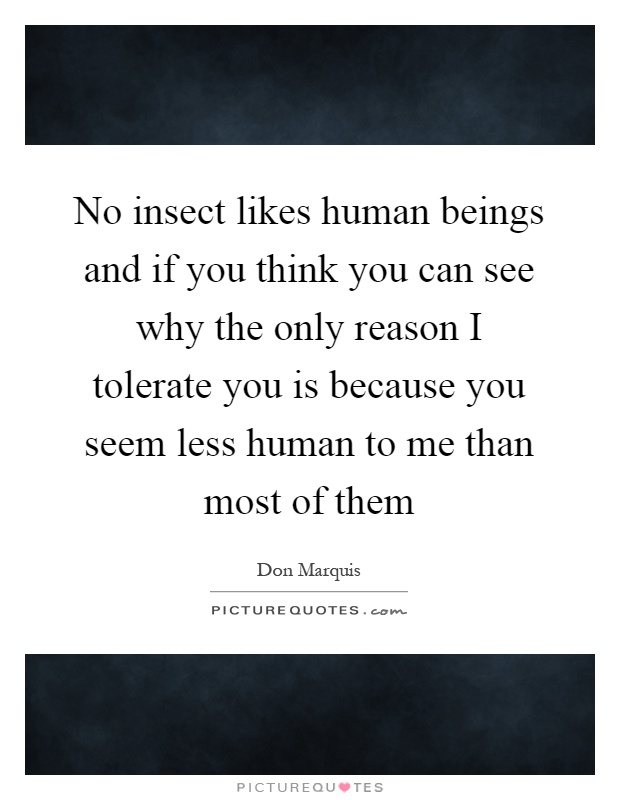 No insect likes human beings and if you think you can see why the only reason I tolerate you is because you seem less human to me than most of them Picture Quote #1