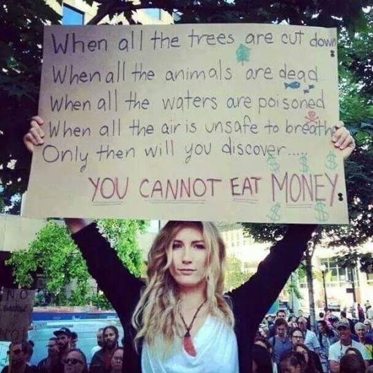 When all the trees are cut down. When all the animals are dead. When all the waters are poisoned. When all the air is unsafe to breathe. Only then will you discover. You cannot eat money Picture Quote #1