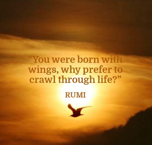 You were born with wings. Why prefer to crawl through life? Picture Quote #2