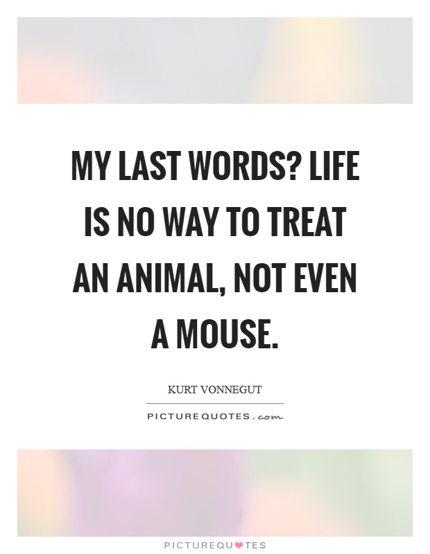 My last words? Life is no way to treat an animal, not even a mouse Picture Quote #1