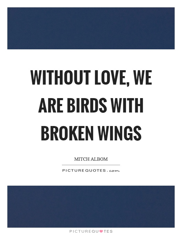 Without love, we are birds with broken wings Picture Quote #1