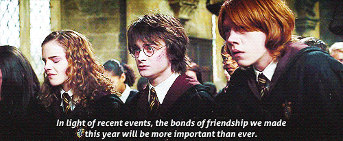 Harry Potter True Friendship Quote 1 Picture Quote #1