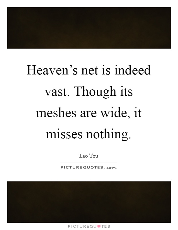 Heaven’s net is indeed vast. Though its meshes are wide, it misses nothing Picture Quote #1