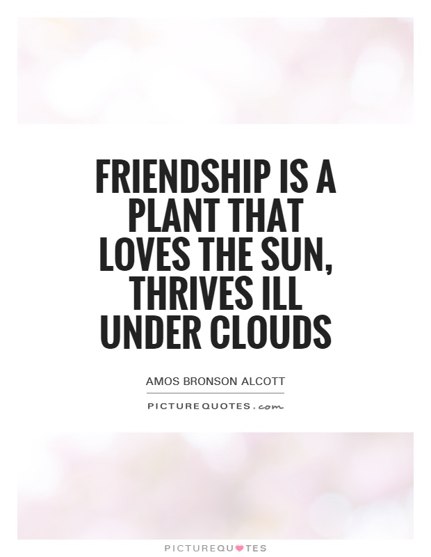 Friendship is a plant that loves the sun, thrives ill under clouds Picture Quote #1