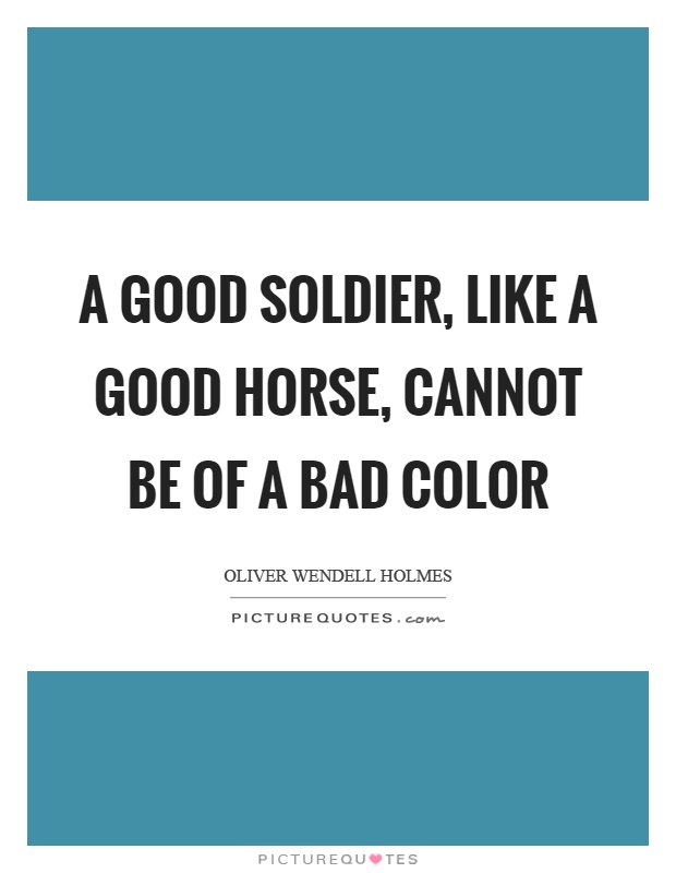 A good soldier, like a good horse, cannot be of a bad color Picture Quote #1