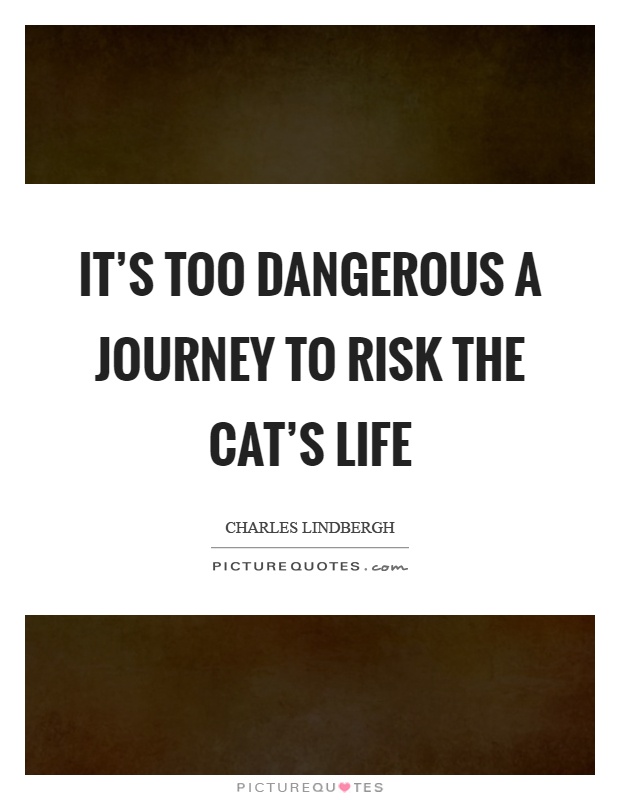 It’s too dangerous a journey to risk the cat’s life Picture Quote #1