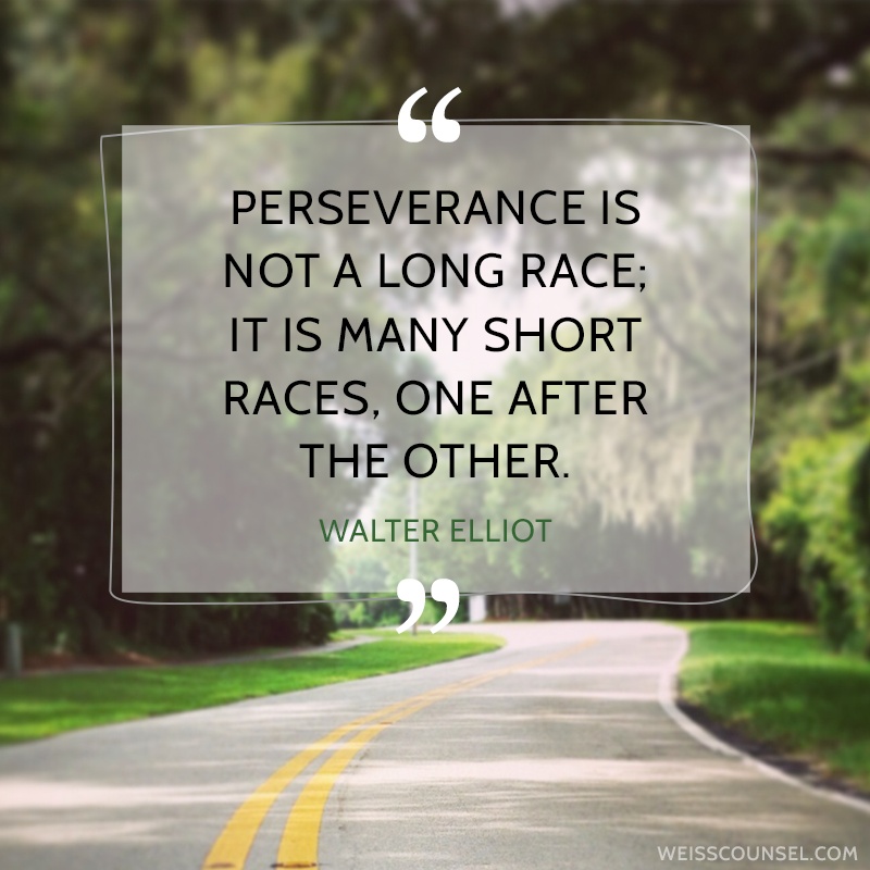 Perseverance Quote 7 Picture Quote #1
