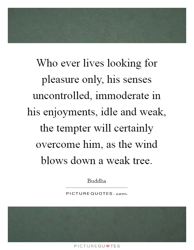 Who ever lives looking for pleasure only, his senses uncontrolled, immoderate in his enjoyments, idle and weak, the tempter will certainly overcome him, as the wind blows down a weak tree Picture Quote #1