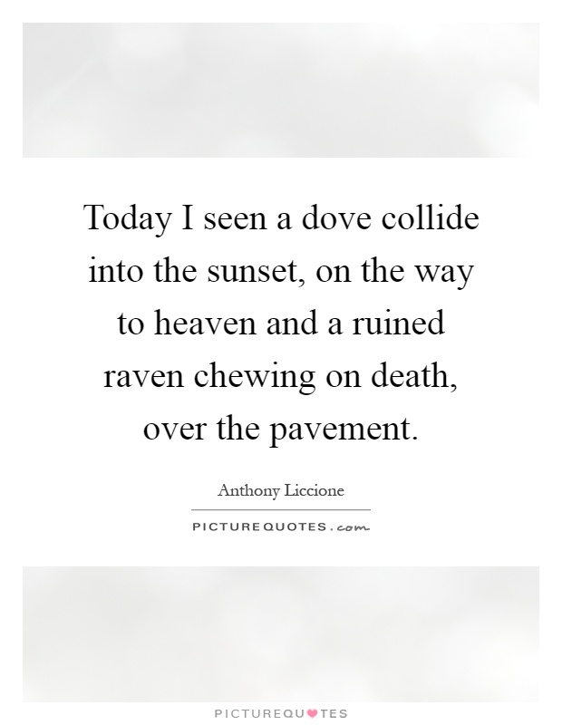 Today I seen a dove collide into the sunset, on the way to heaven and a ruined raven chewing on death, over the pavement Picture Quote #1