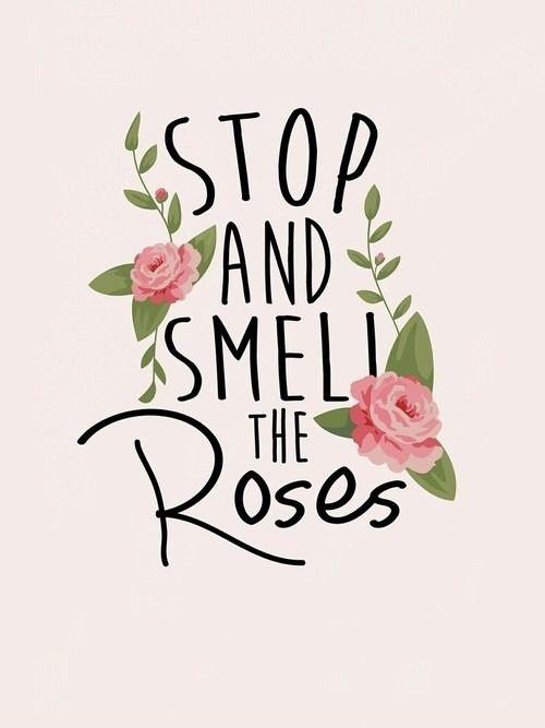 Stop and smell the roses Picture Quote #1