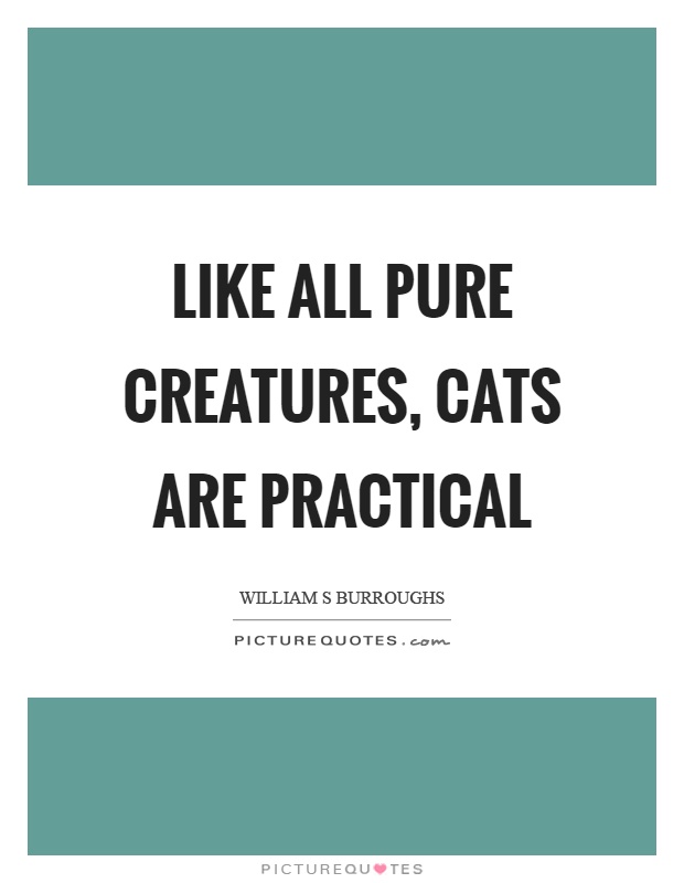 Like all pure creatures, cats are practical Picture Quote #1