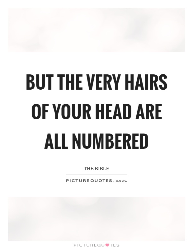 But the very hairs of your head are all numbered Picture Quote #1