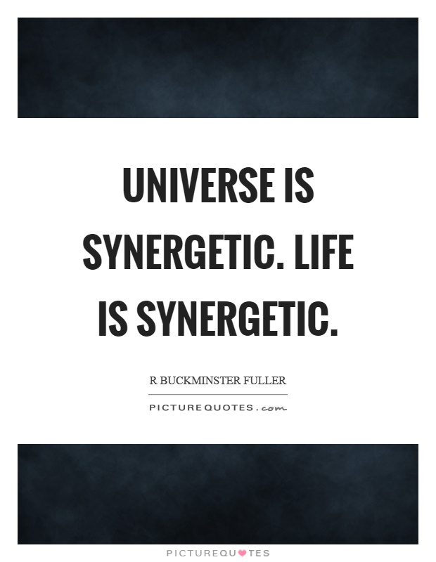 Universe is synergetic. Life is synergetic Picture Quote #1