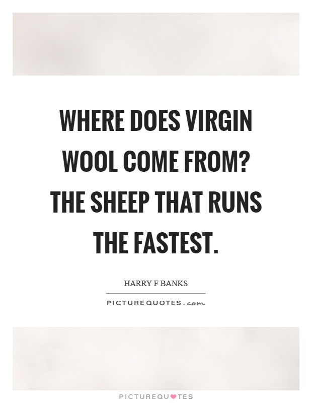 Where does virgin wool come from? the sheep that runs the fastest Picture Quote #1