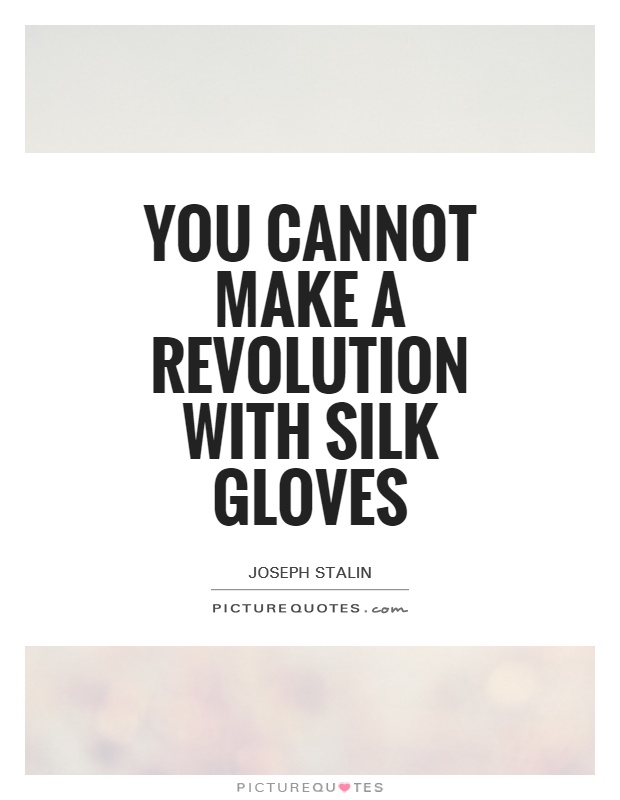 You cannot make a revolution with silk gloves Picture Quote #1