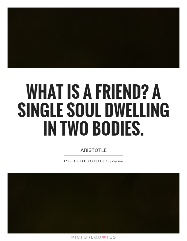 What is a friend? A single soul dwelling in two bodies Picture Quote #1
