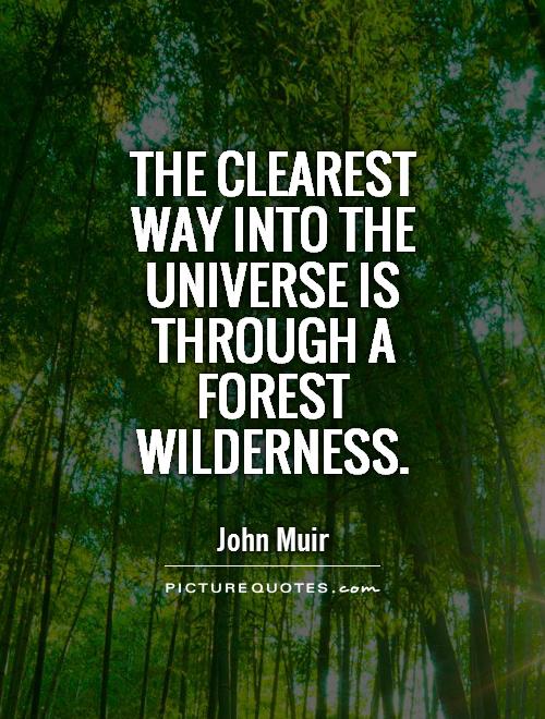The clearest way into the Universe is through a forest wilderness Picture Quote #1