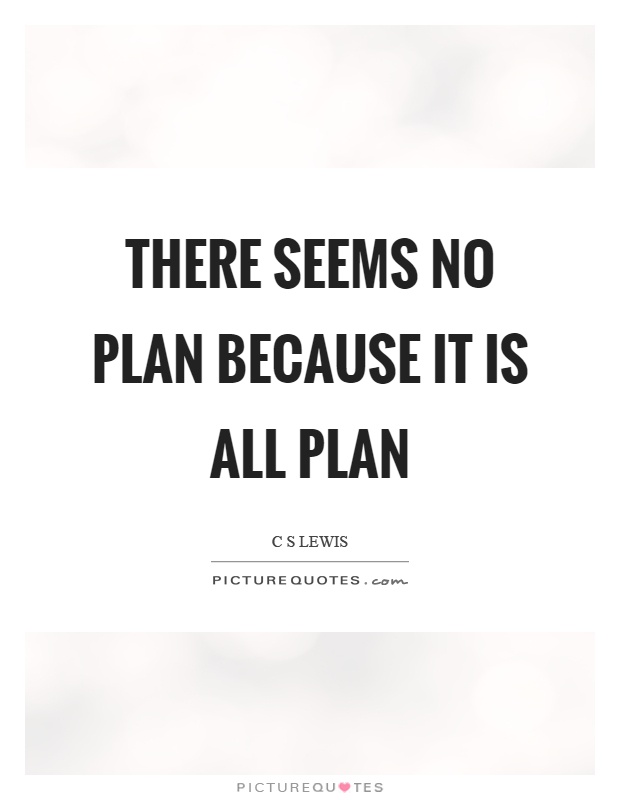 There seems no plan because it is all plan Picture Quote #1