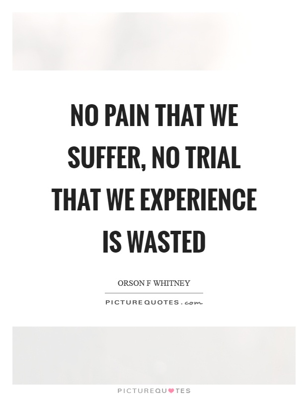 No pain that we suffer, no trial that we experience is wasted Picture Quote #1