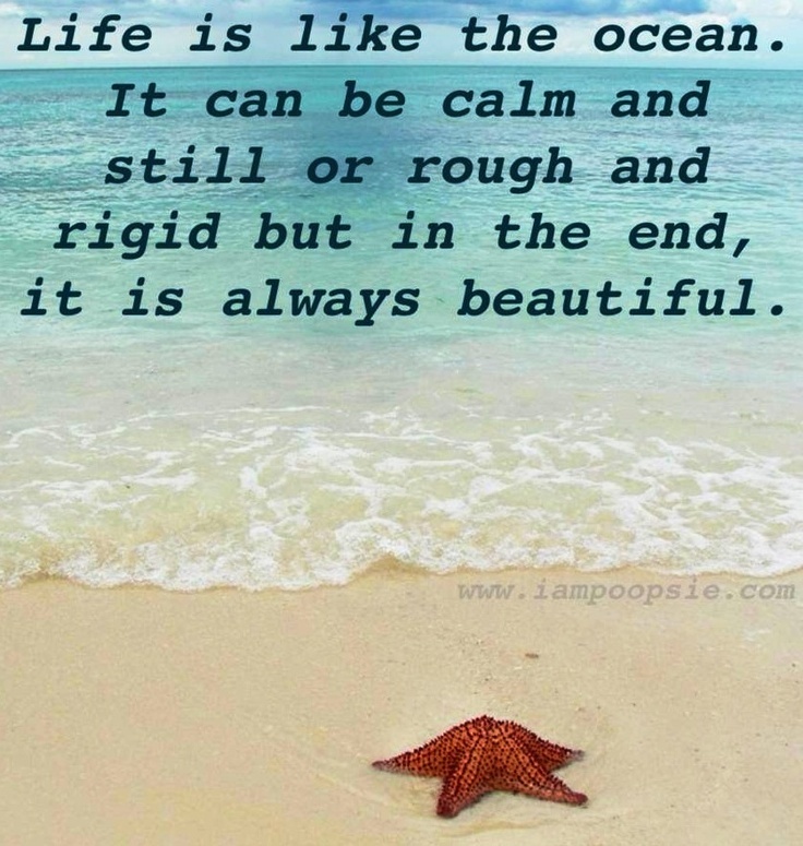 Life is like the ocean. It can be calm and still or rough and rigid but in the end, it is always beautiful Picture Quote #1