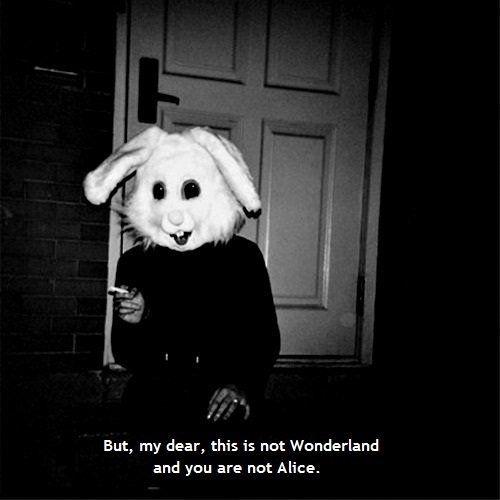 But my dear, this is not Wonderland and you are not Alice Picture Quote #1