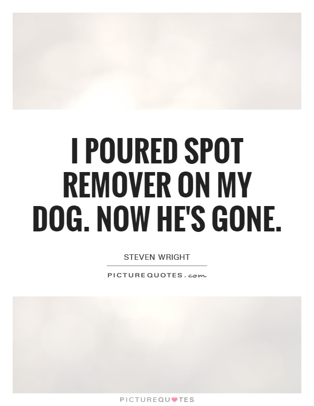 I poured spot remover on my dog. Now he's gone Picture Quote #1