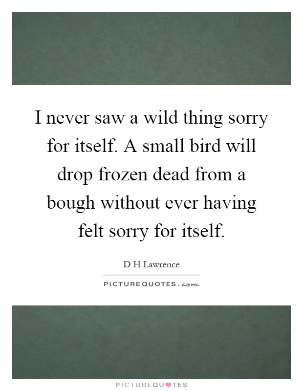 dh lawrence i never saw a wild thing